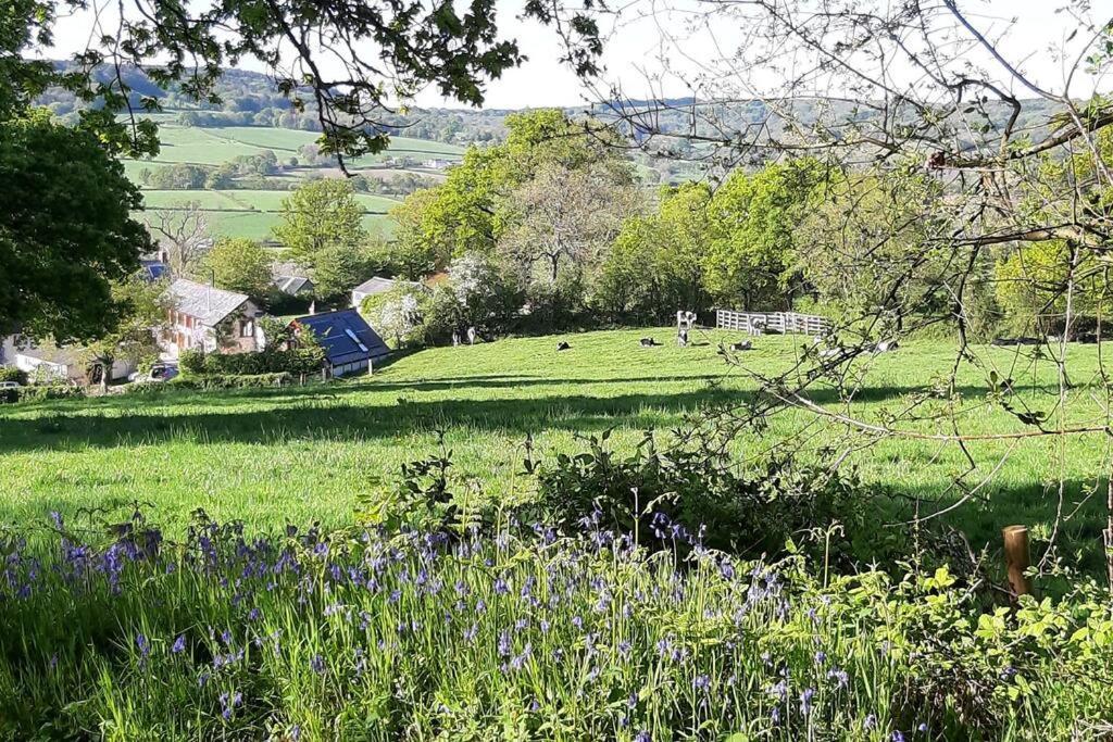 The Roost - A Bird'S Eye View In The Countryside Lägenhet Cullompton Exteriör bild